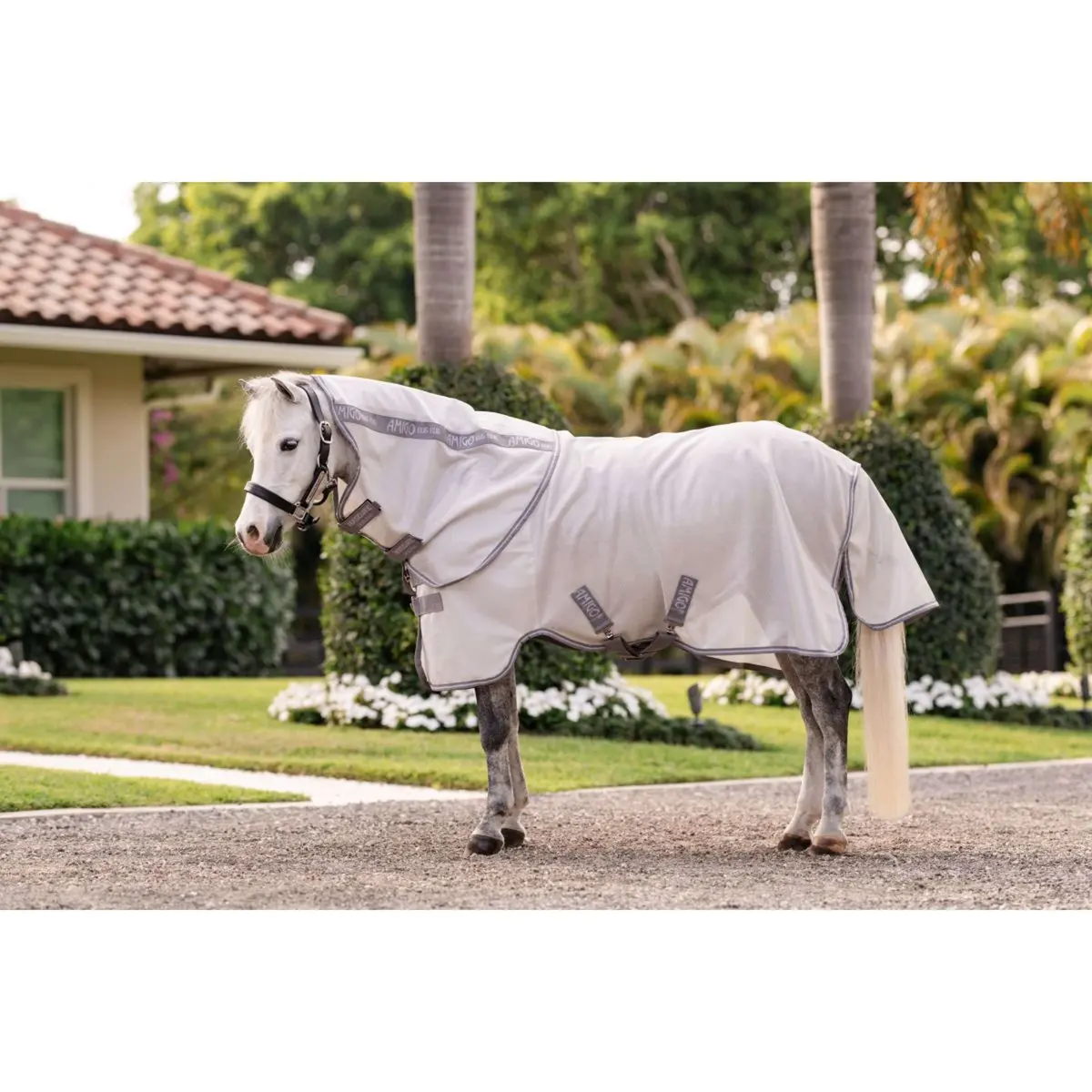 Amigo Bug Rug Plus Pony Silver/Titanium Grey/Silver 1