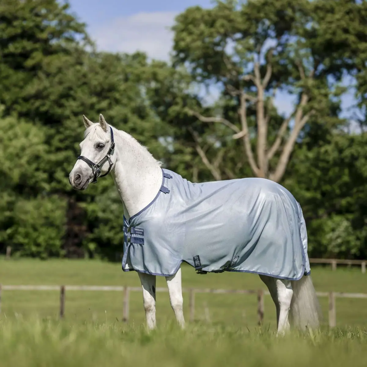 Amigo Bug Rug Pony Heather Blue/Blue/Silver 1