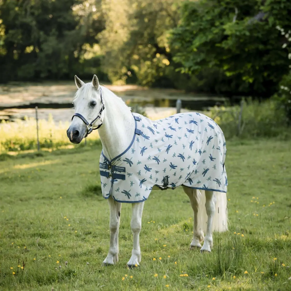 Amigo Bug Rug Pony Dragonfly Print/Silver/Blue/Sage 1