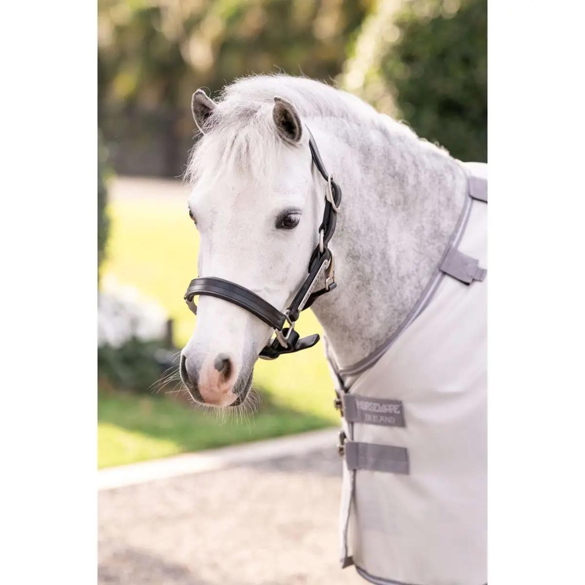 Amigo Bug Rug Pony Silver/Titanium Grey/Silver 1