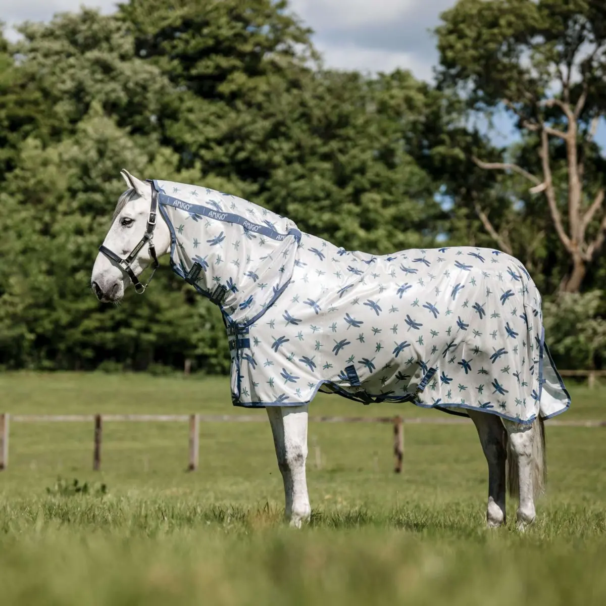 Amigo Vliegendeken Integrated Dragonfly Print/Silver/Blue/Sage 1