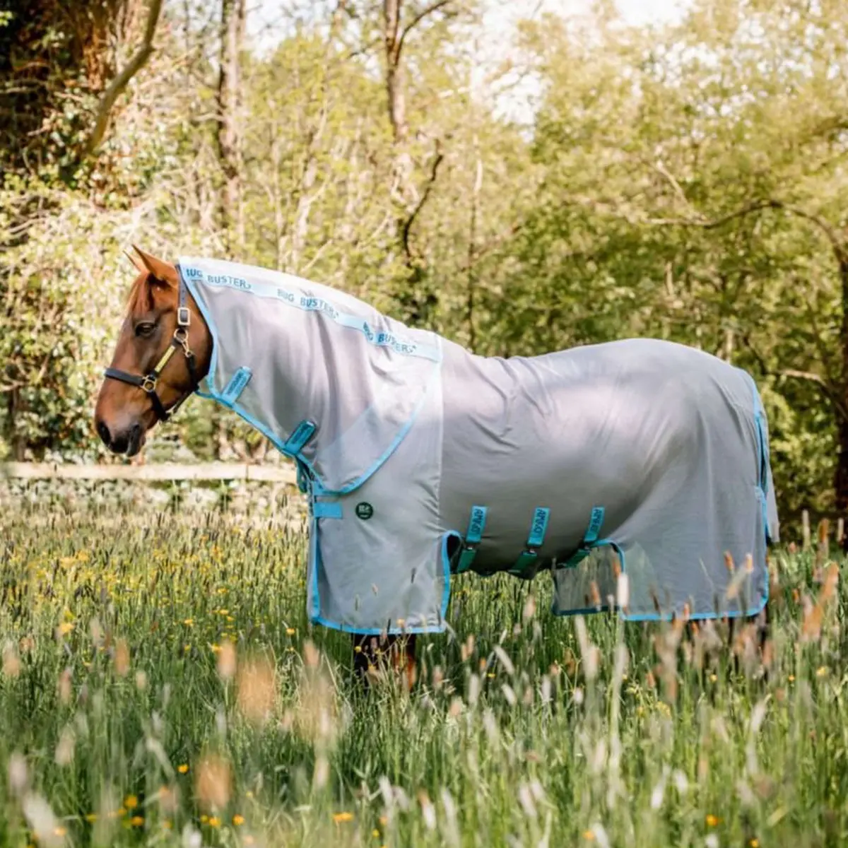 Amigo Eco Bug Buster Silver/Sky Blue 1