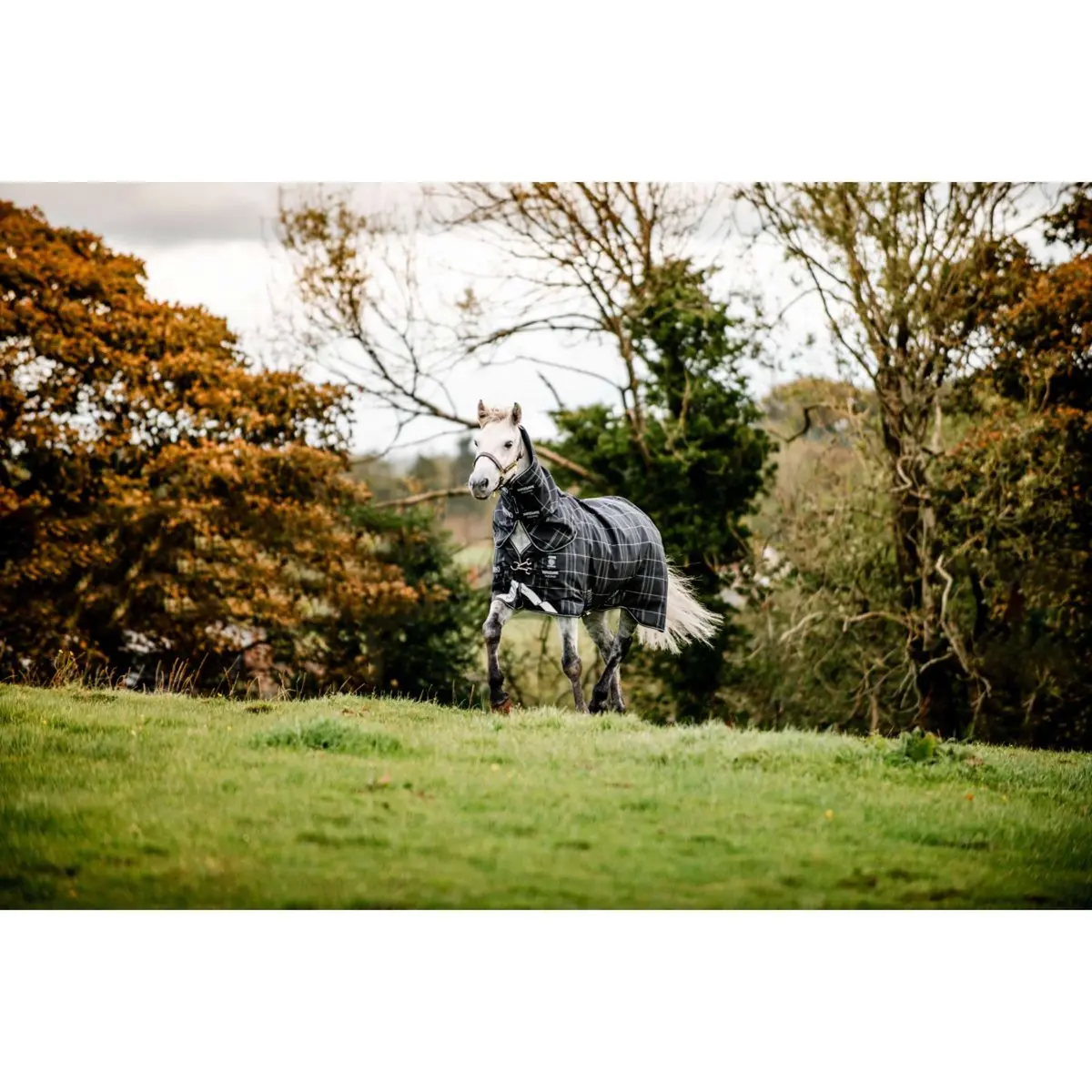 Rhino Turnout Plus Pony Bundle 0G + 200G Black Check/Black/White 8