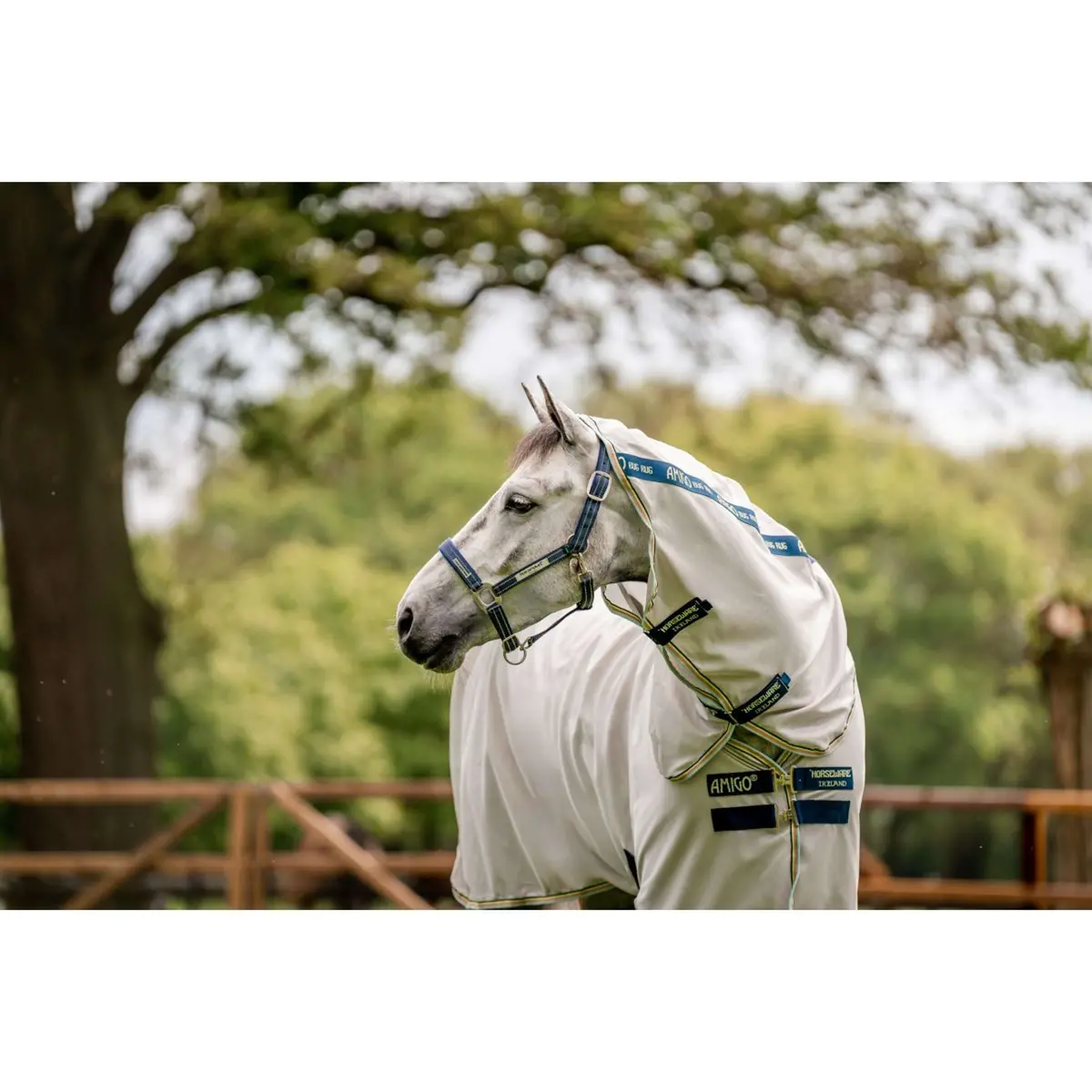 Horseware Halster Field Safe Navy 1