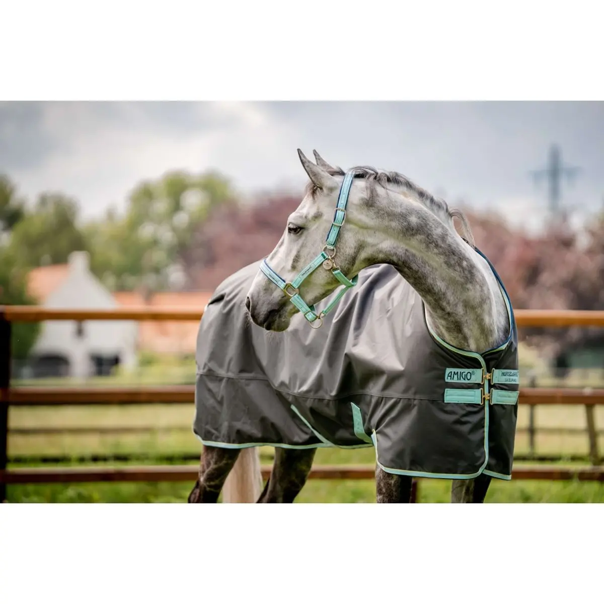 Horseware Halster Field Safe Blue Haze 1
