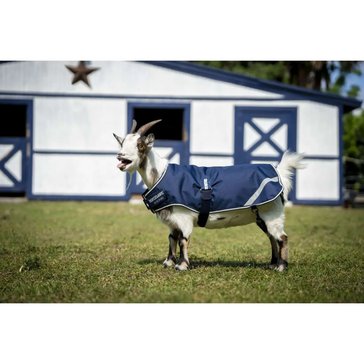 Horseware Goat Coat 100G Witney Navy 1