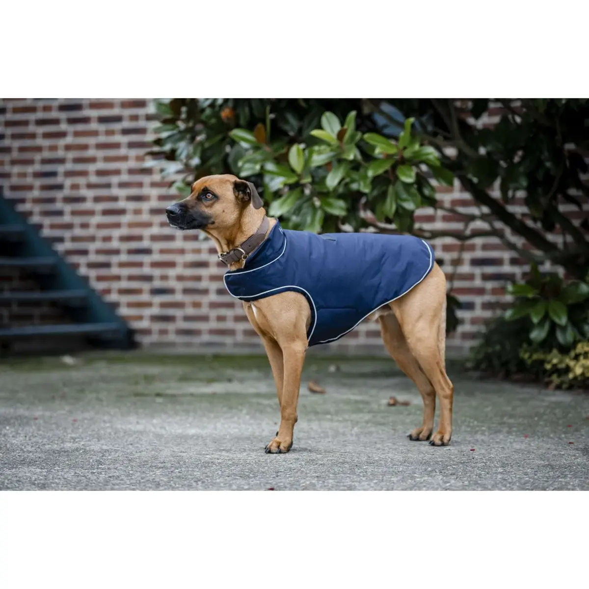Horseware Hondenregendeken Signature 100G Navy 1
