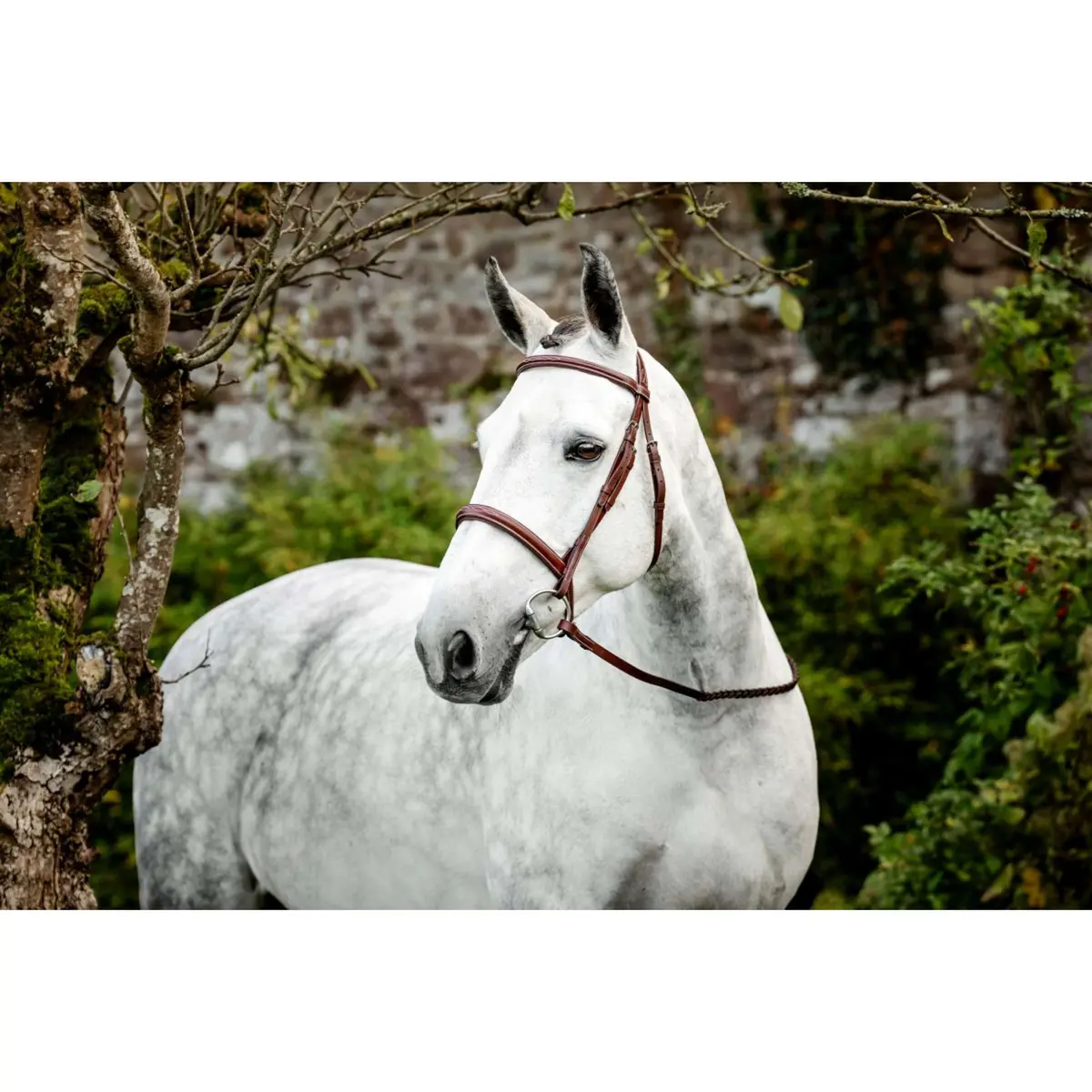 Horseware Hoofdstel Hunter Cavesson Met Teugels Dark Tan 1