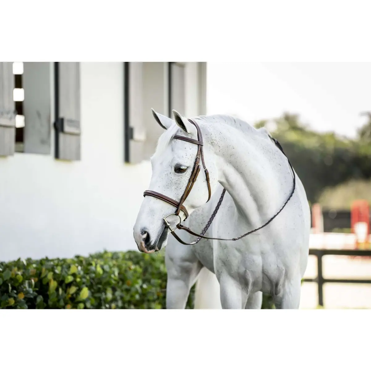 Horseware Hoofdstel Pony Hunter Cavesson Met Teugels Dark Tan 1