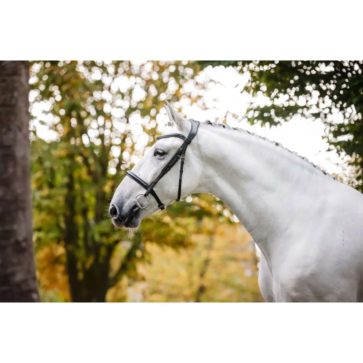 Horseware Hoofdstel Pony Cavesson Zwart 1