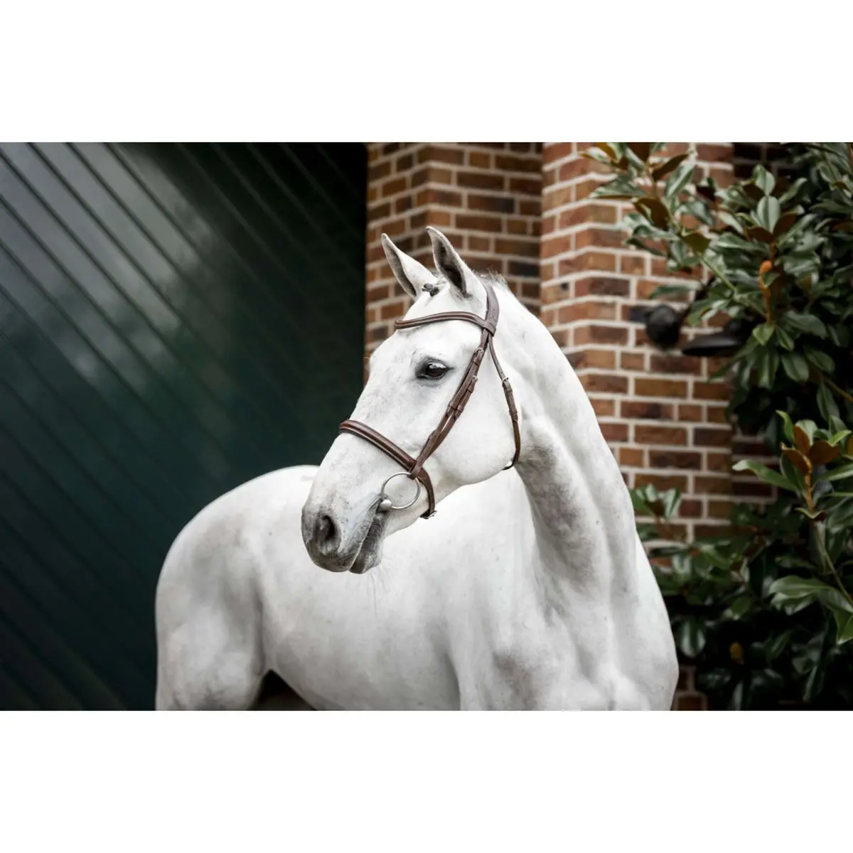 Horseware Hoofdstel Pony Cavesson Bruin 1