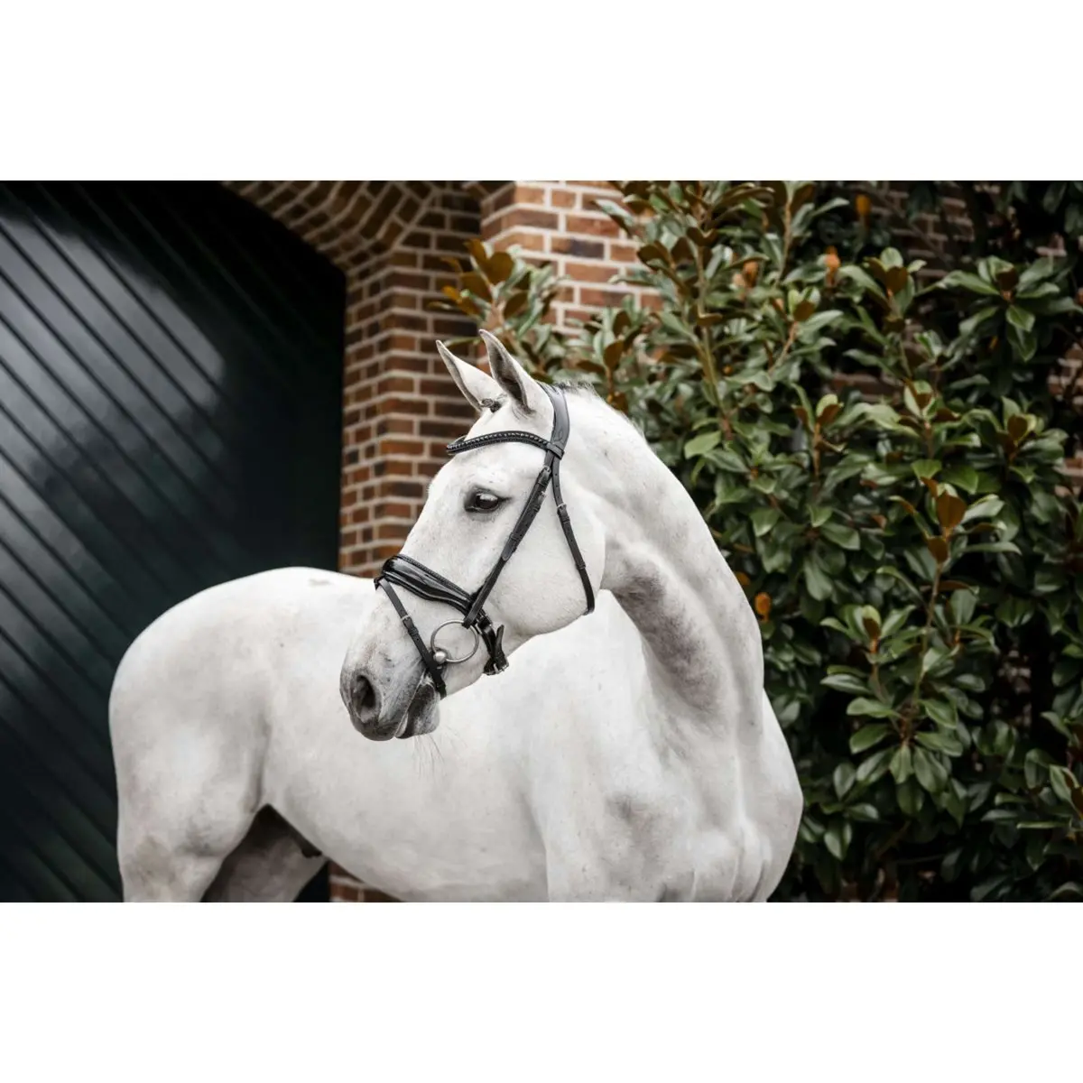 Horseware Hoofdstel Diamante Zwart 1