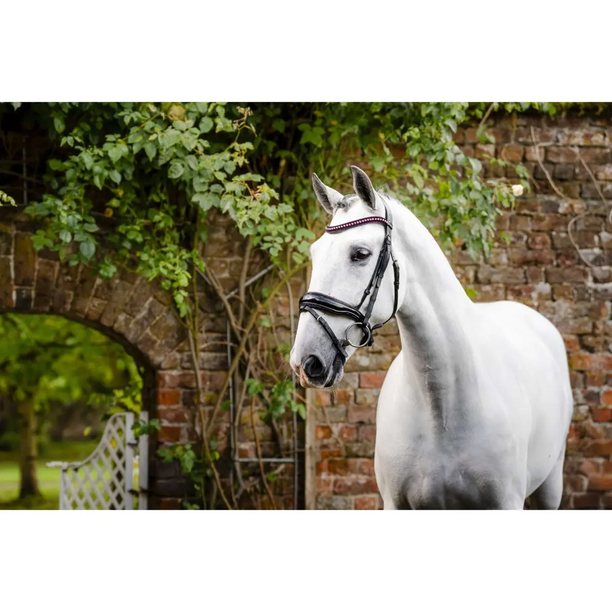 Horseware Hoofdstel Pony Diamante Flash Zwart/Roze 1