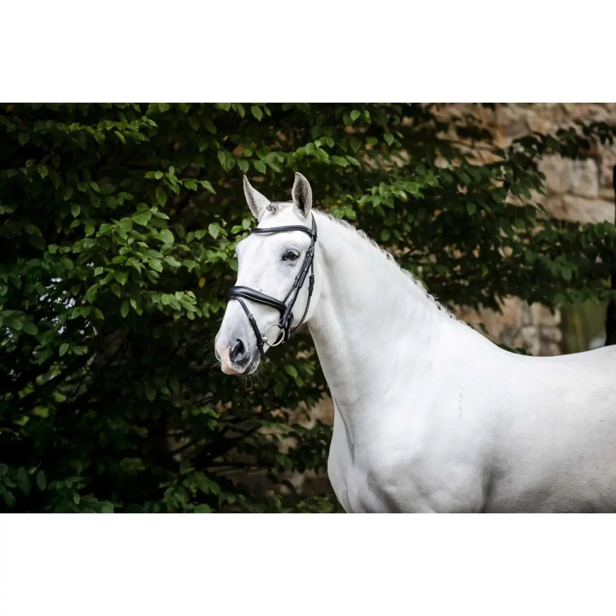 Horseware Hoofdstel Dressage Zwart 1