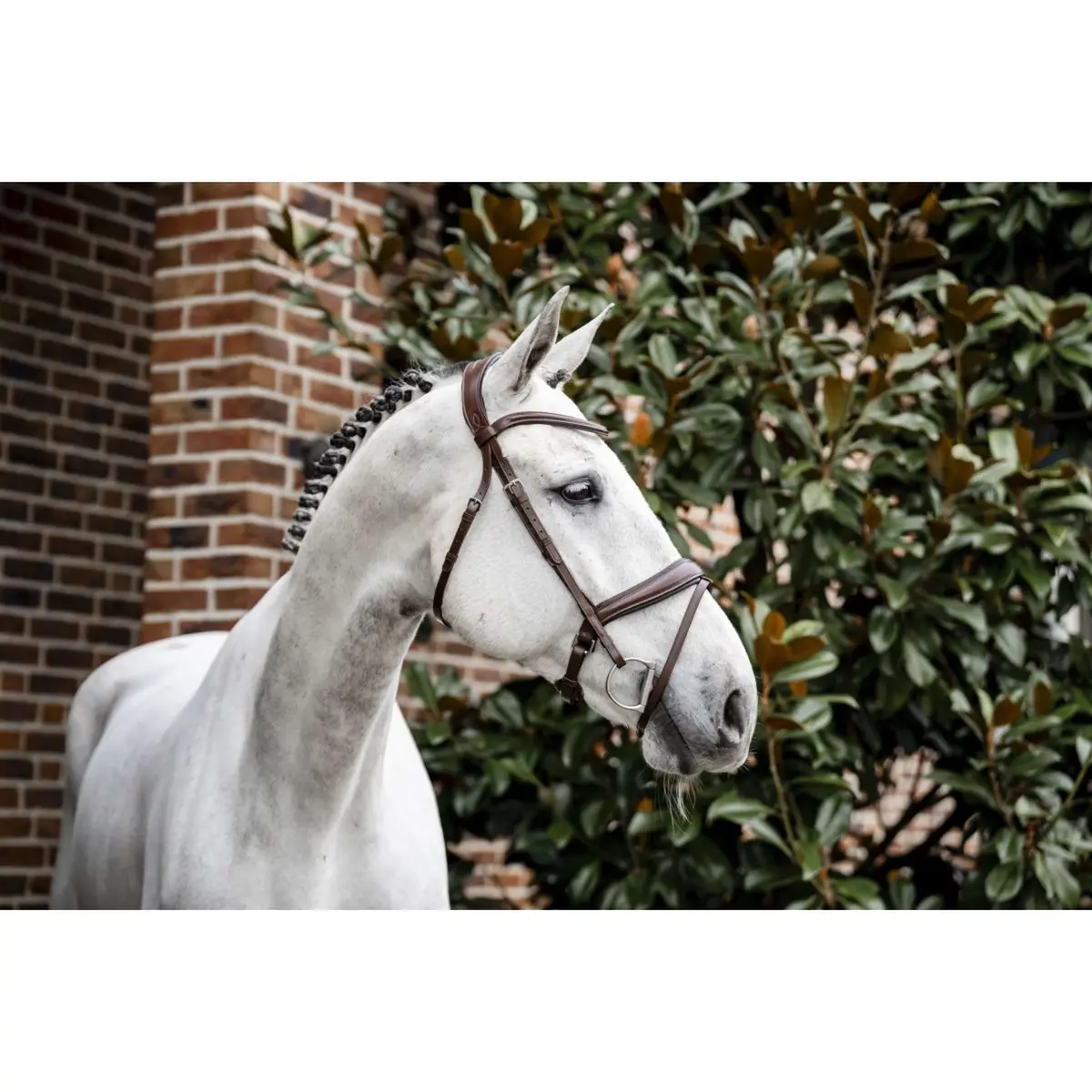 Horseware Hoofdstel Dressage Bruin 1