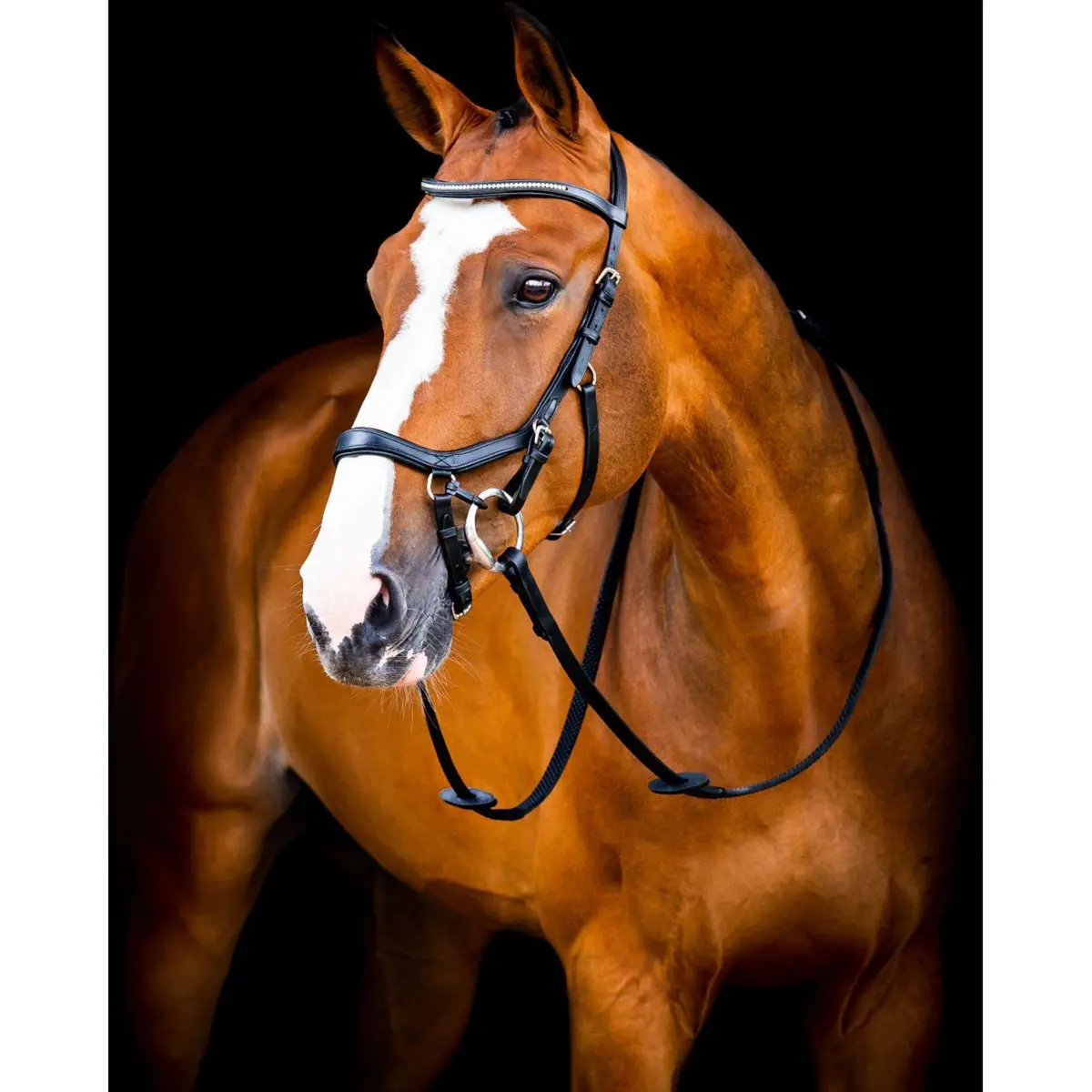 Horseware Micklem Diamond Competition Bridle New Zwart 1