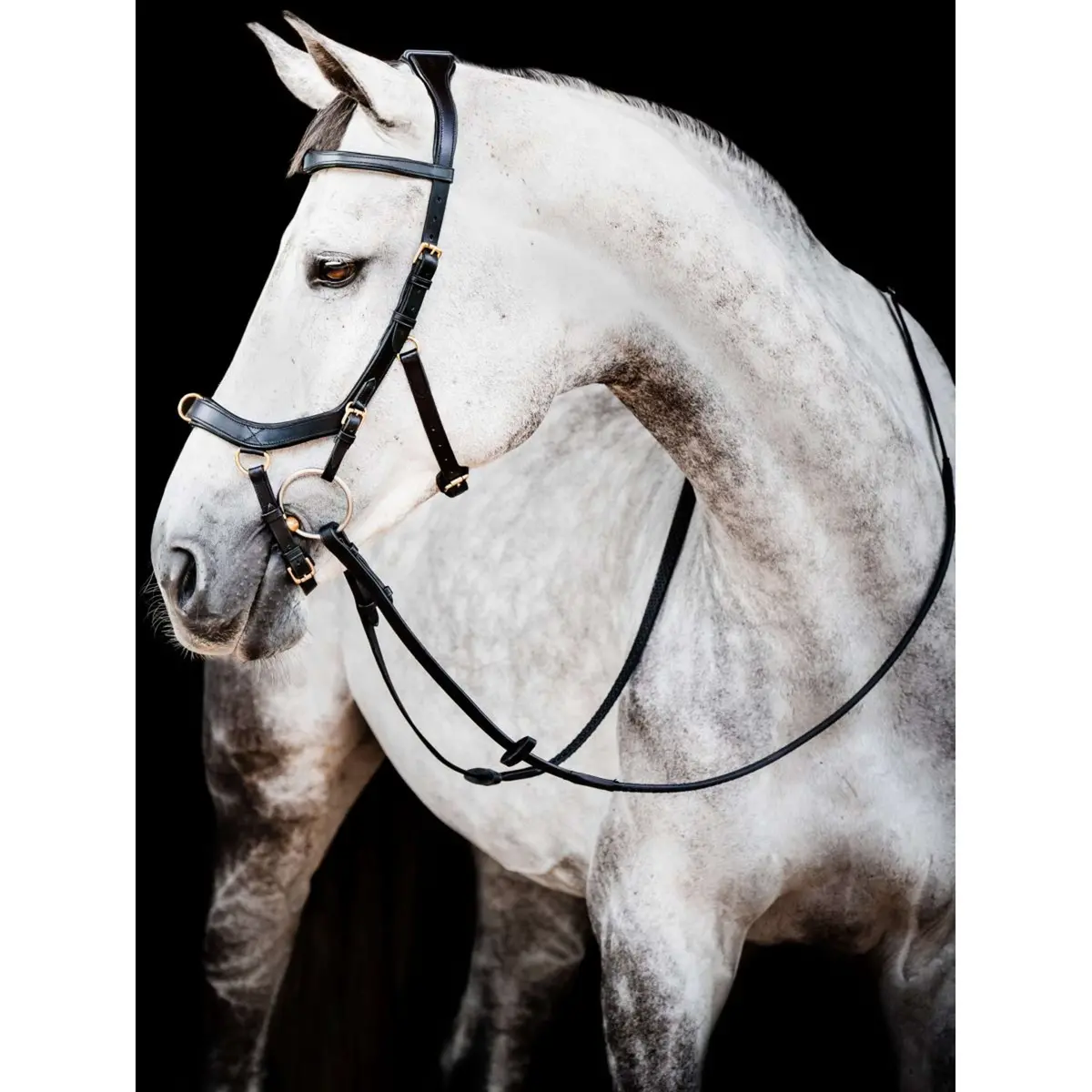 Horseware Micklem Multi Bridle New Zwart 1
