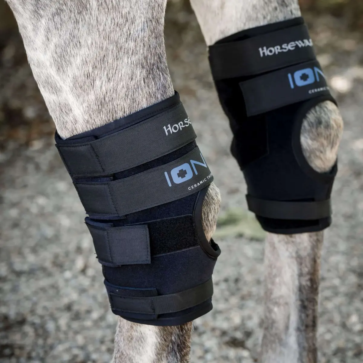 Horseware Hock Boots Ionic Set Of 2 Zwart 1