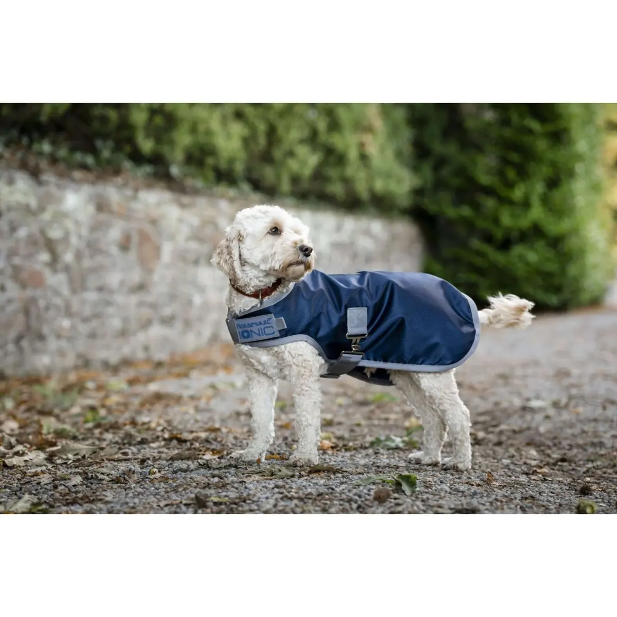 Horseware Ionic Therapy Dog Coat 50G Imperial Blue/Silver/Navy 1