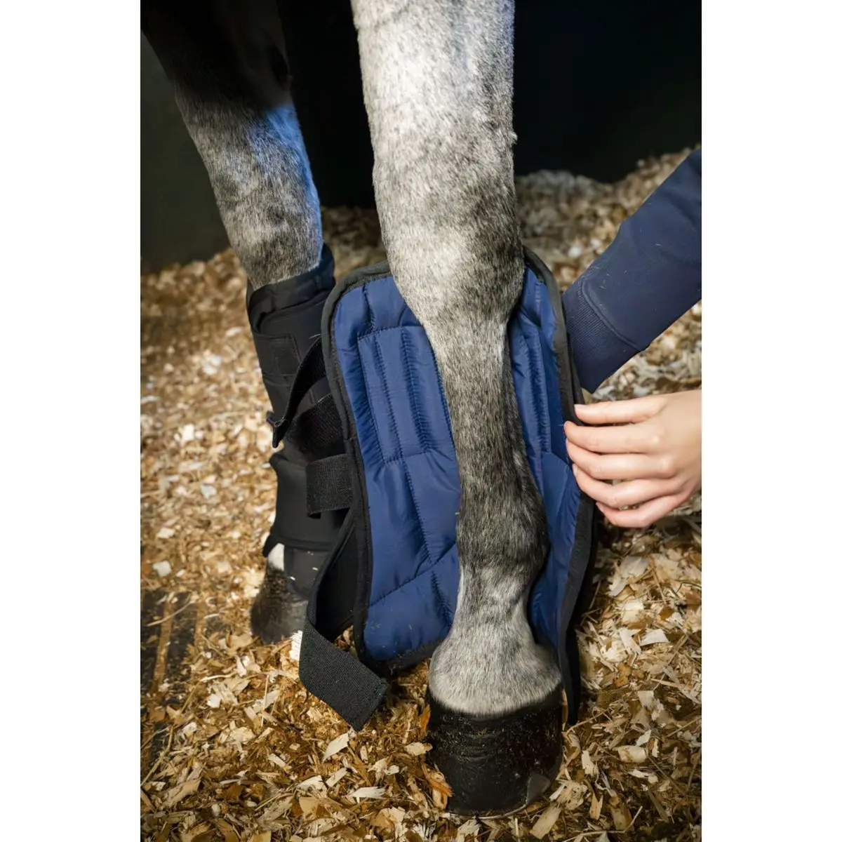 Horseware Liner Stable Boot Ionic Zwart 1