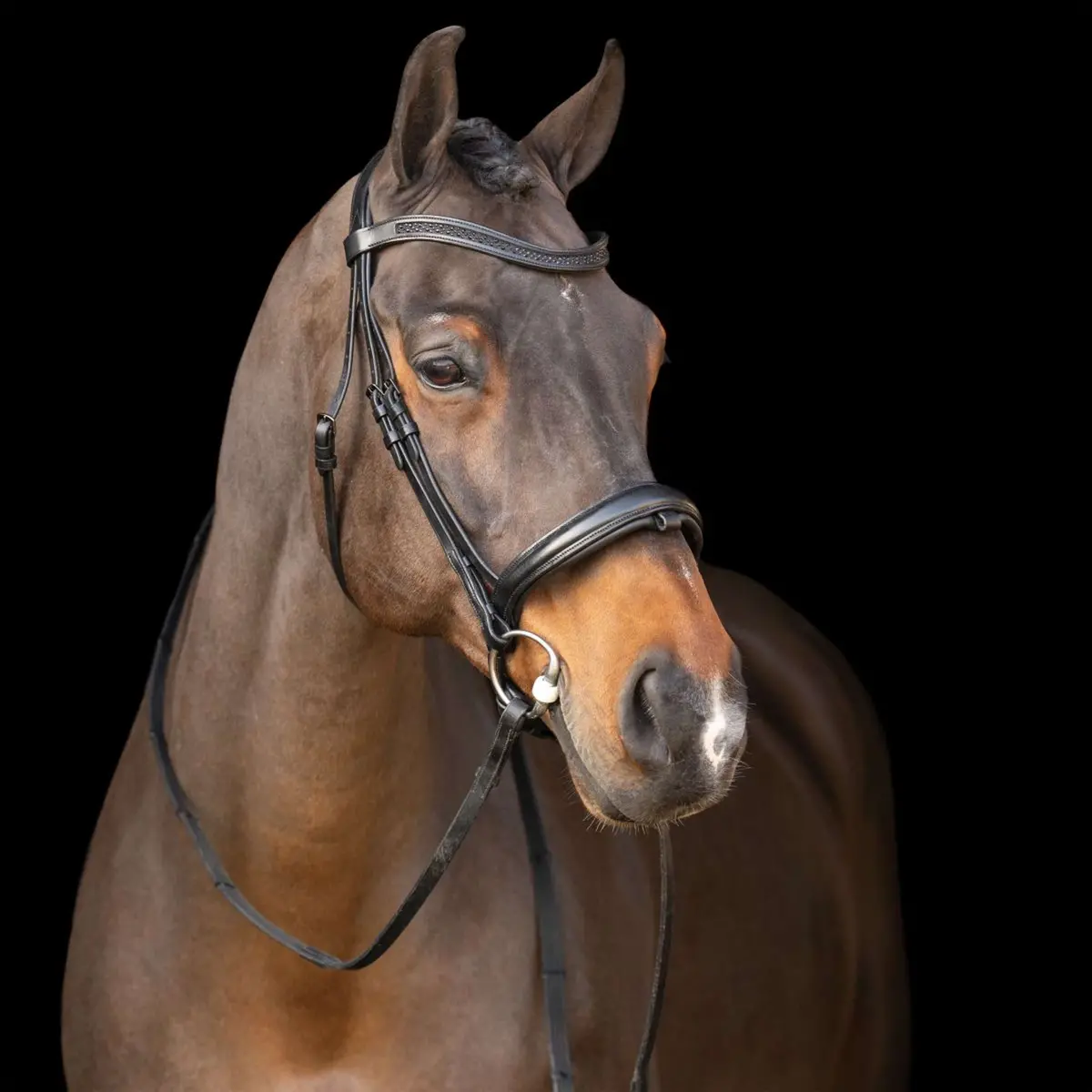 Imperial Riding Hoofdstel Irh Zwart/Zwart 1