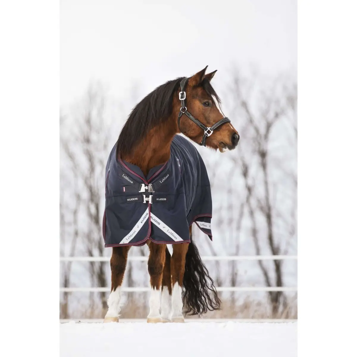 Lemieux Deken Kudos Turnout 50G Navy 1