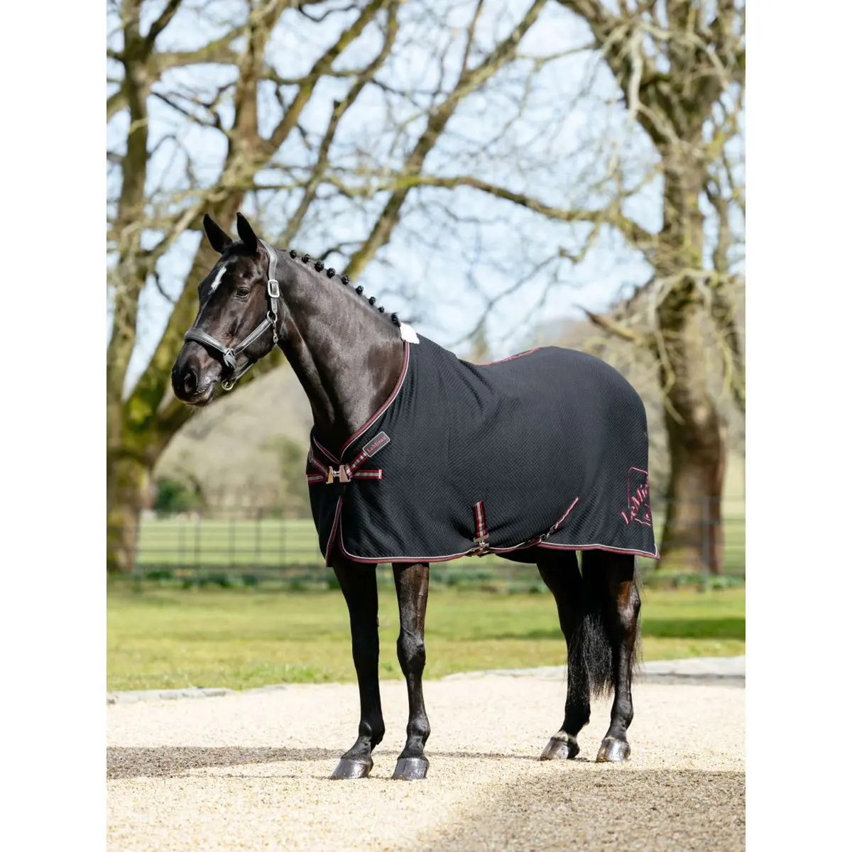 Lemieux Cooler Kudos Bamboo Zwart 1