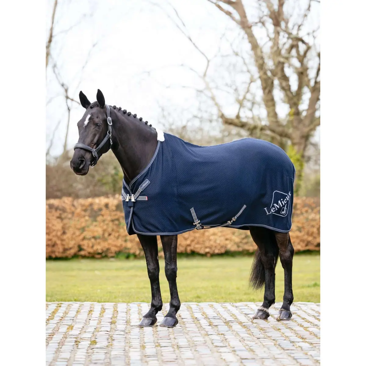 Lemieux Cooler Kudos Bamboo Navy 1