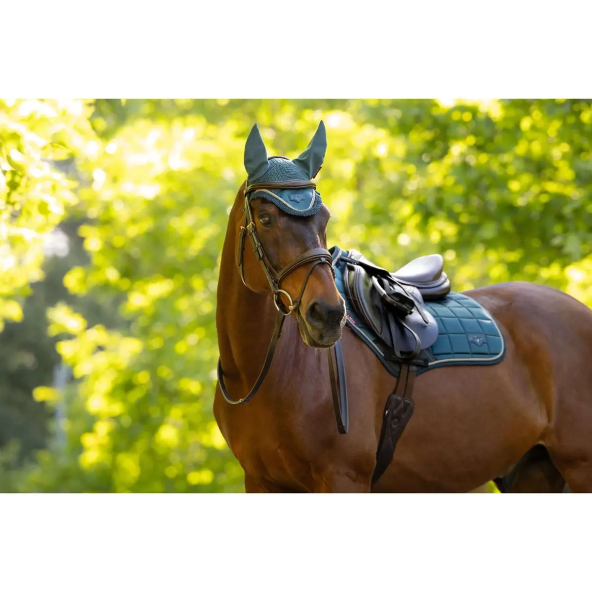 Lemieux Zadeldekje Loire Classic Close Contact Square Springen Jungle 2