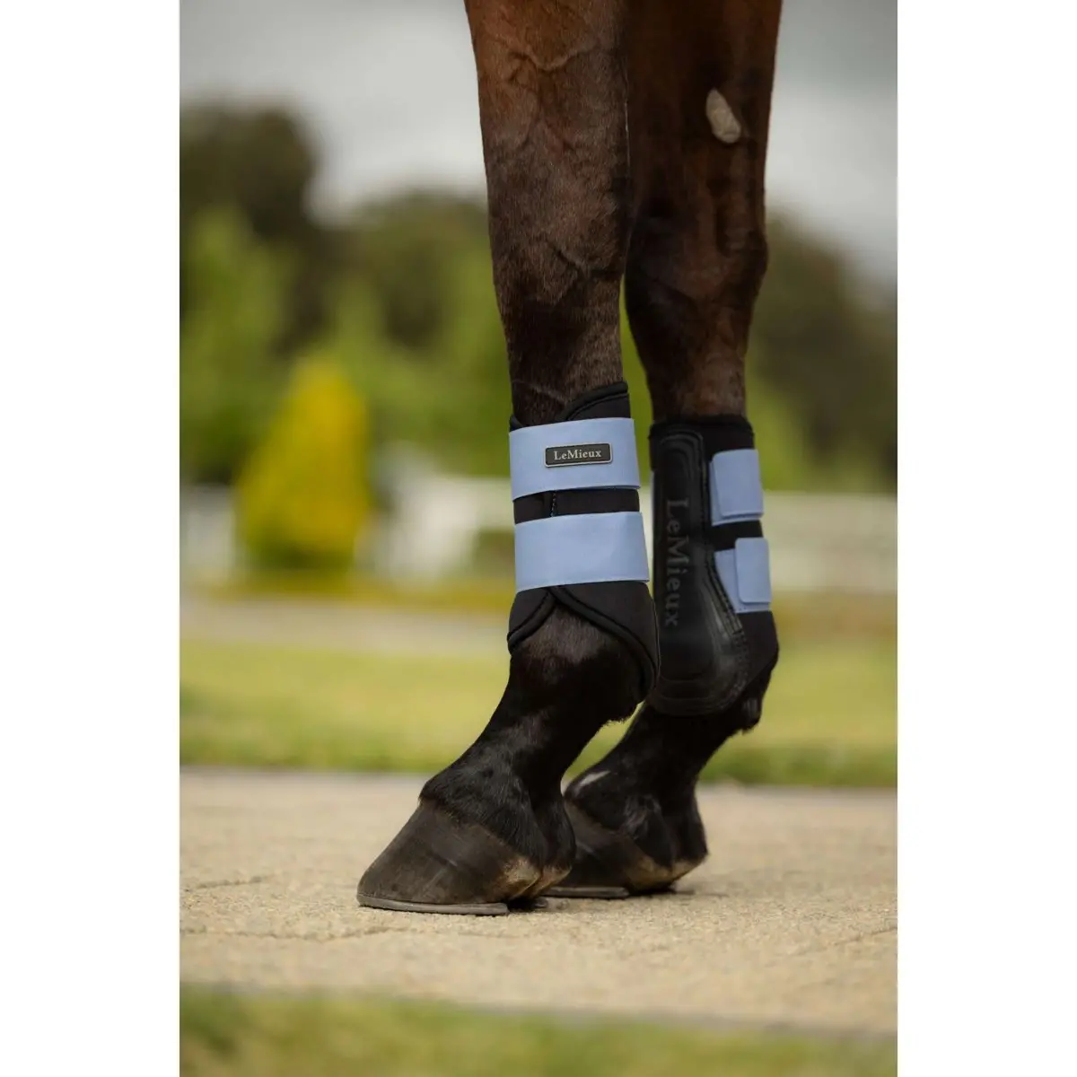 Lemieux Beenbeschermers Air-Tek Grafter Powder Blue 2