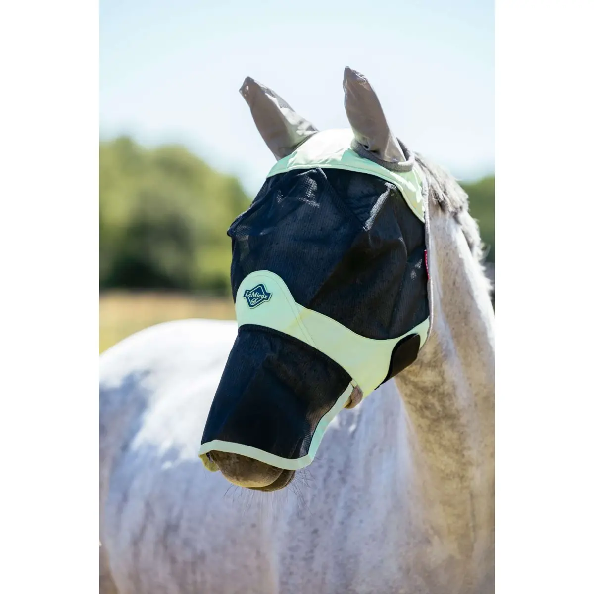 Lemieux Vliegenmasker Visor-Tek Met Neusnetje Macaron 1