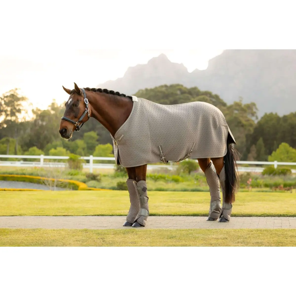 Lemieux Transportdeken Kudos 3D Mesh Pecan 1