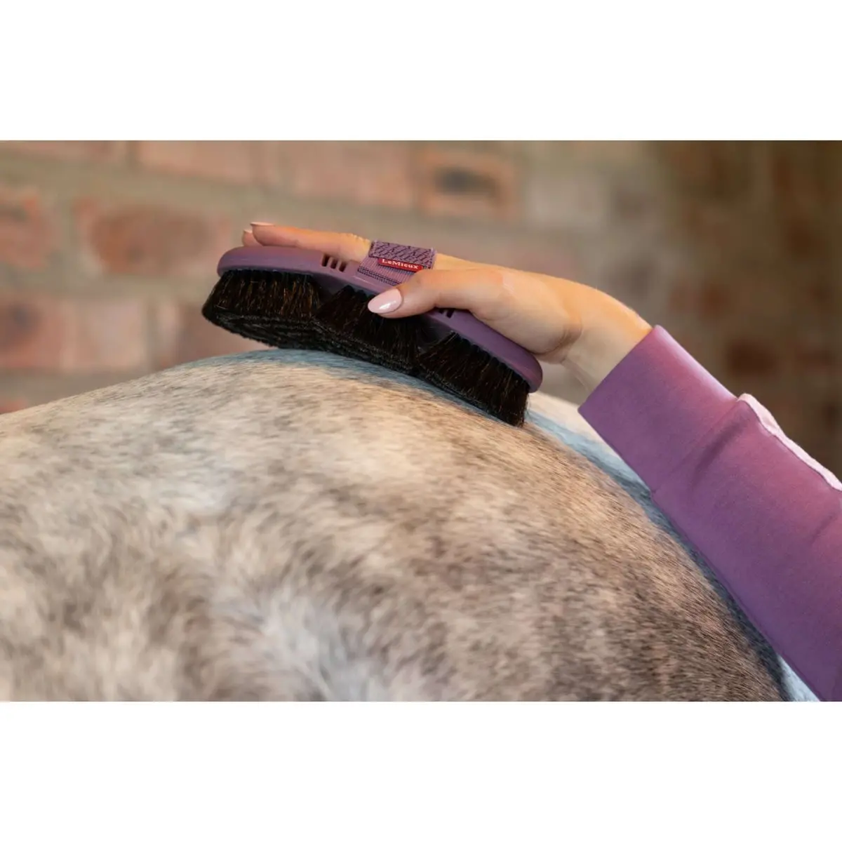 Lemieux Zachte Borstel Flexi Paardenhaar Powder Blue 2