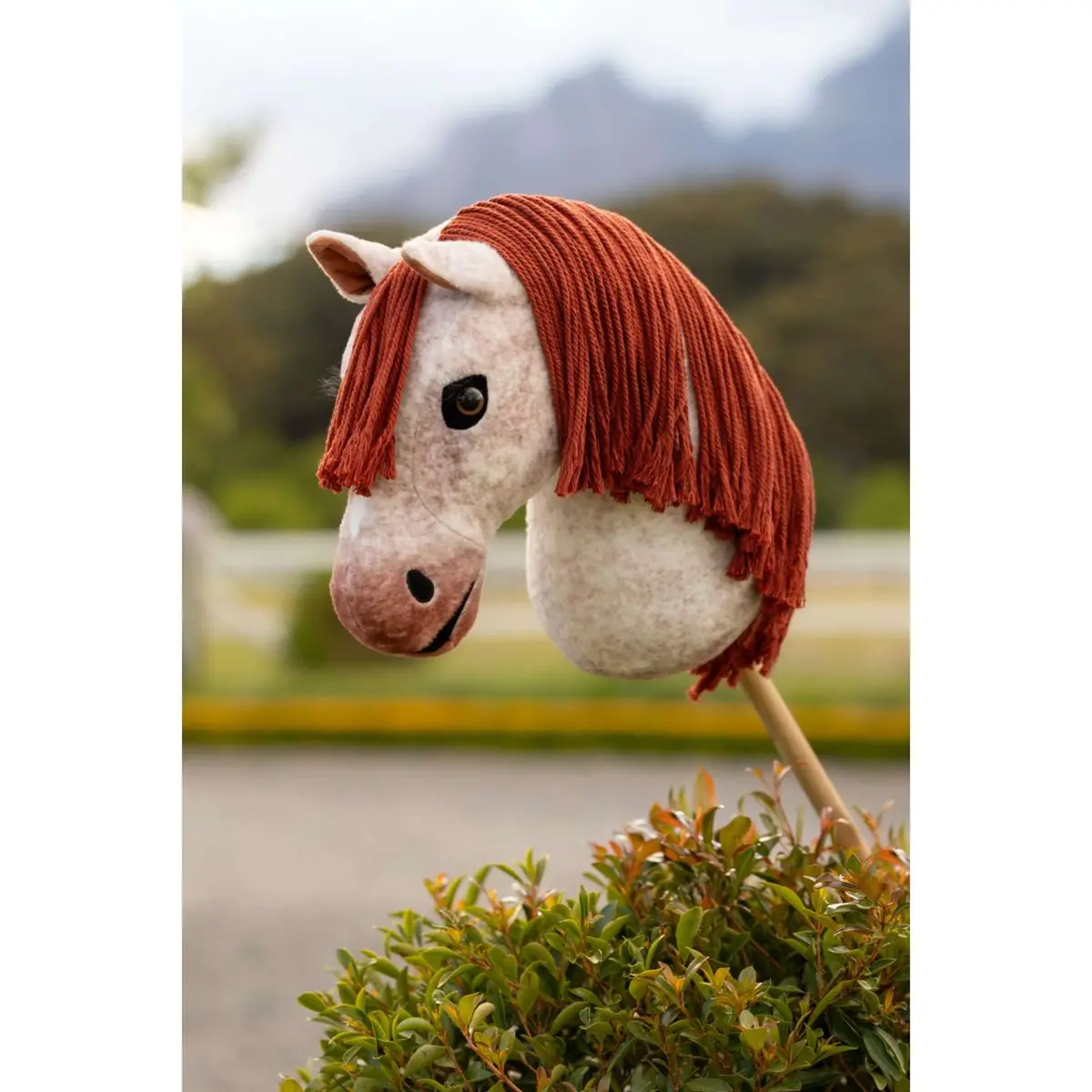 Lemieux Hobby Horse Poppy 2