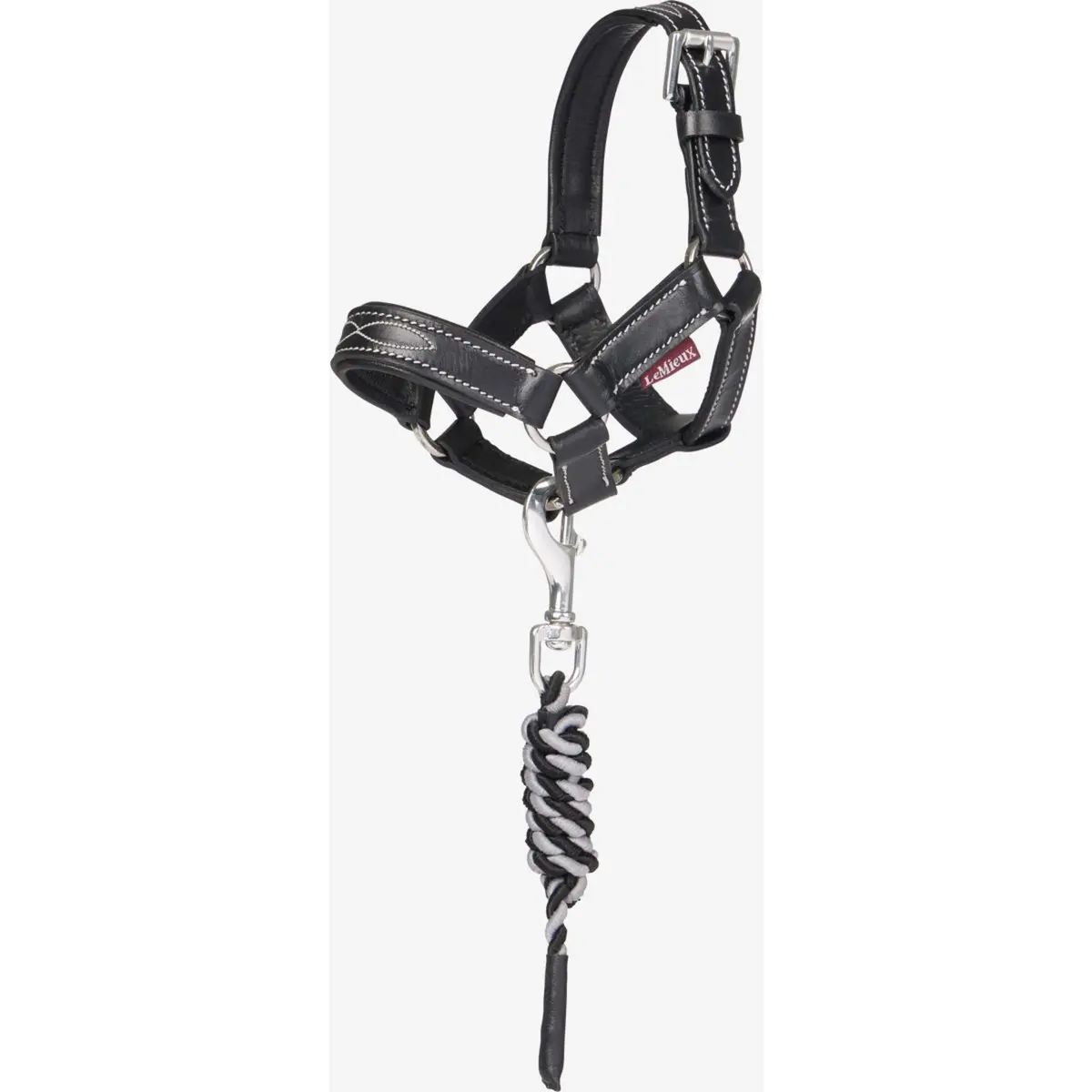 Lemieux Toy Pony Halster Zwart 1