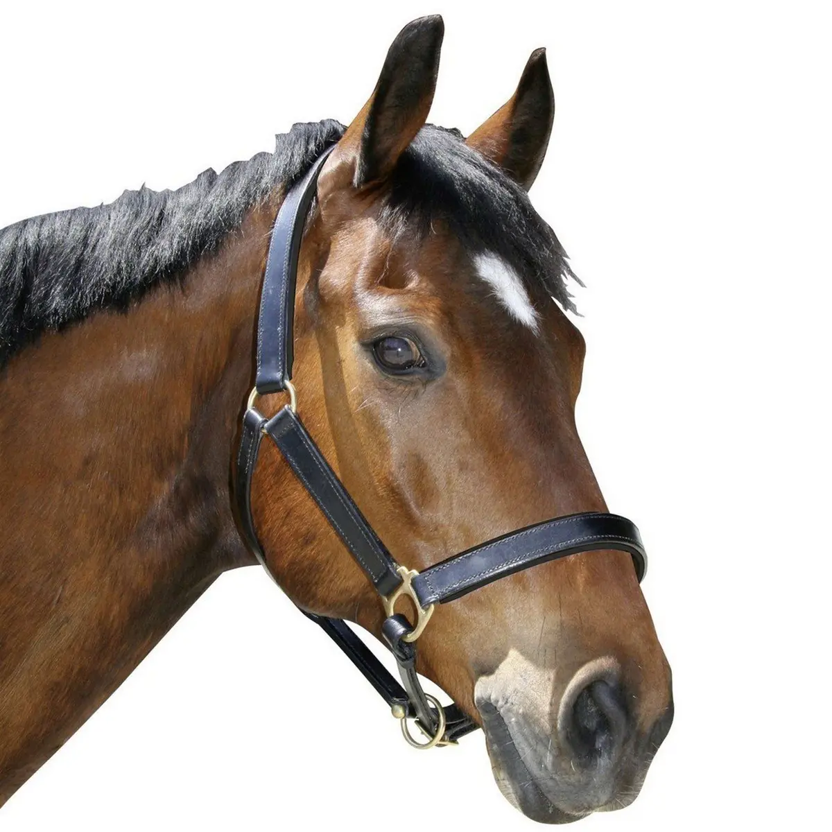 Covalliero Robuust Lederen Halster Bruin 1
