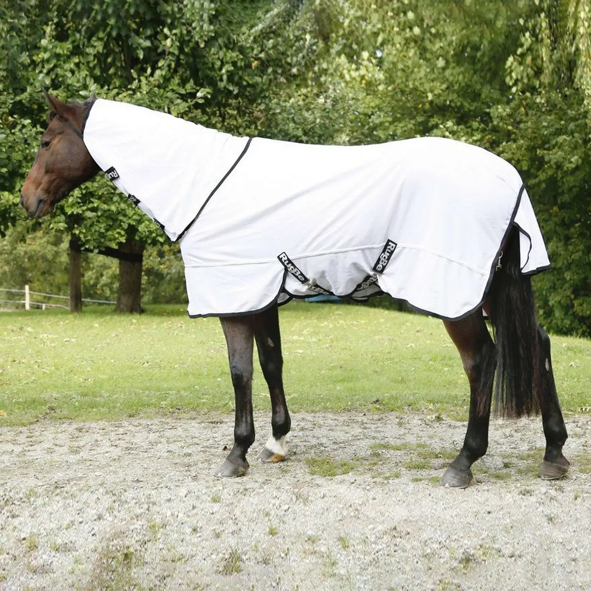 Rugbe By Covalliero Vliegendeken Superfly Met Halsstuk 1