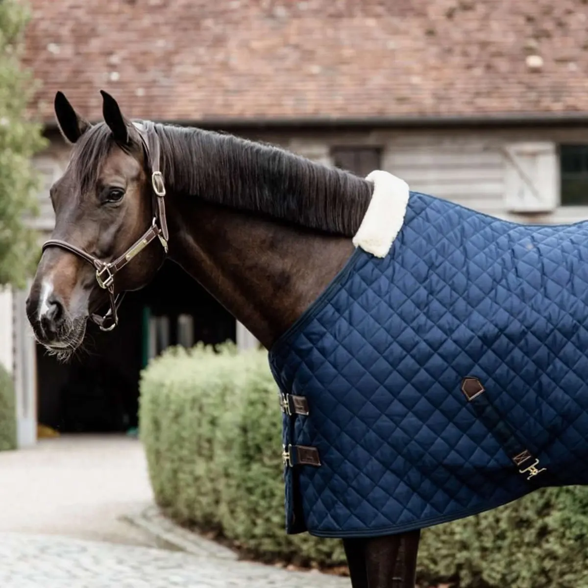 Kentucky Staldeken 200G Navy 1