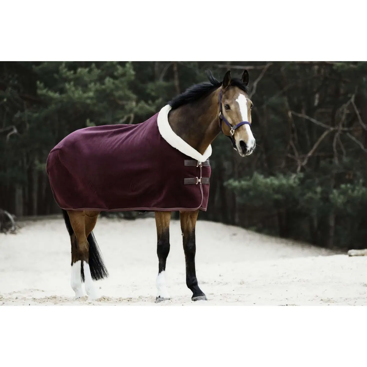 Kentucky Zweetdeken Show Fleece Heavy Bordeaux 1