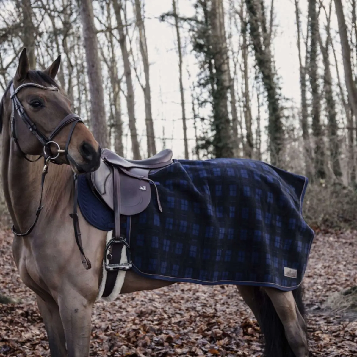 Kentucky Uitrijdeken Vierkant Heavy Fleece Donker Blauw 1