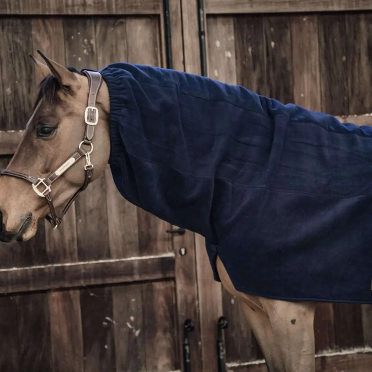 Kentucky Hals Heavy Fleece Navy 1