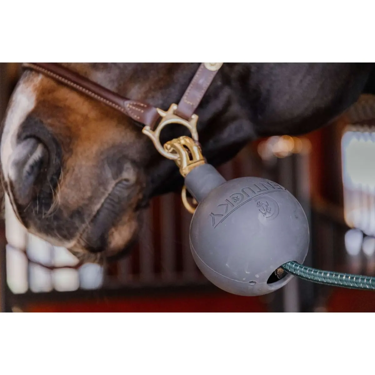 Kentucky Beschermingsbal Rubber Grijs 1