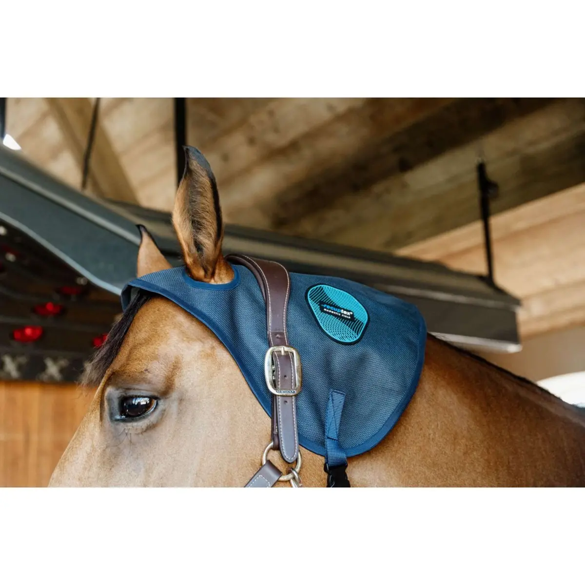 Kentucky Magnetische Nekbeschermer Recuptex Blauw 1