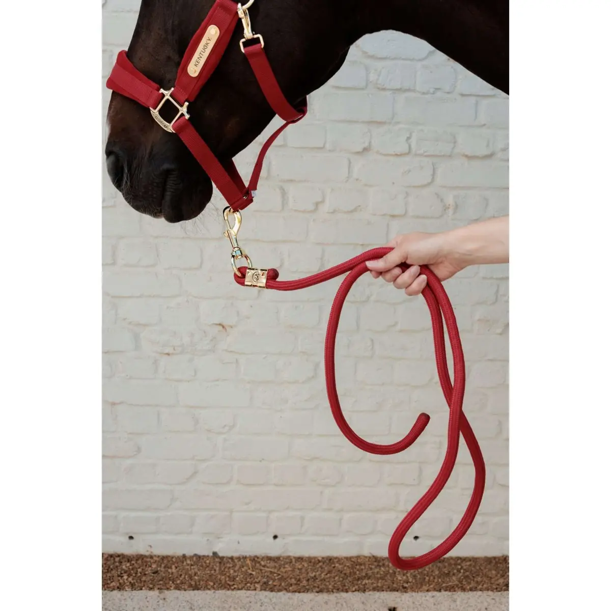 Kentucky Halstertouw Basic Rood 1