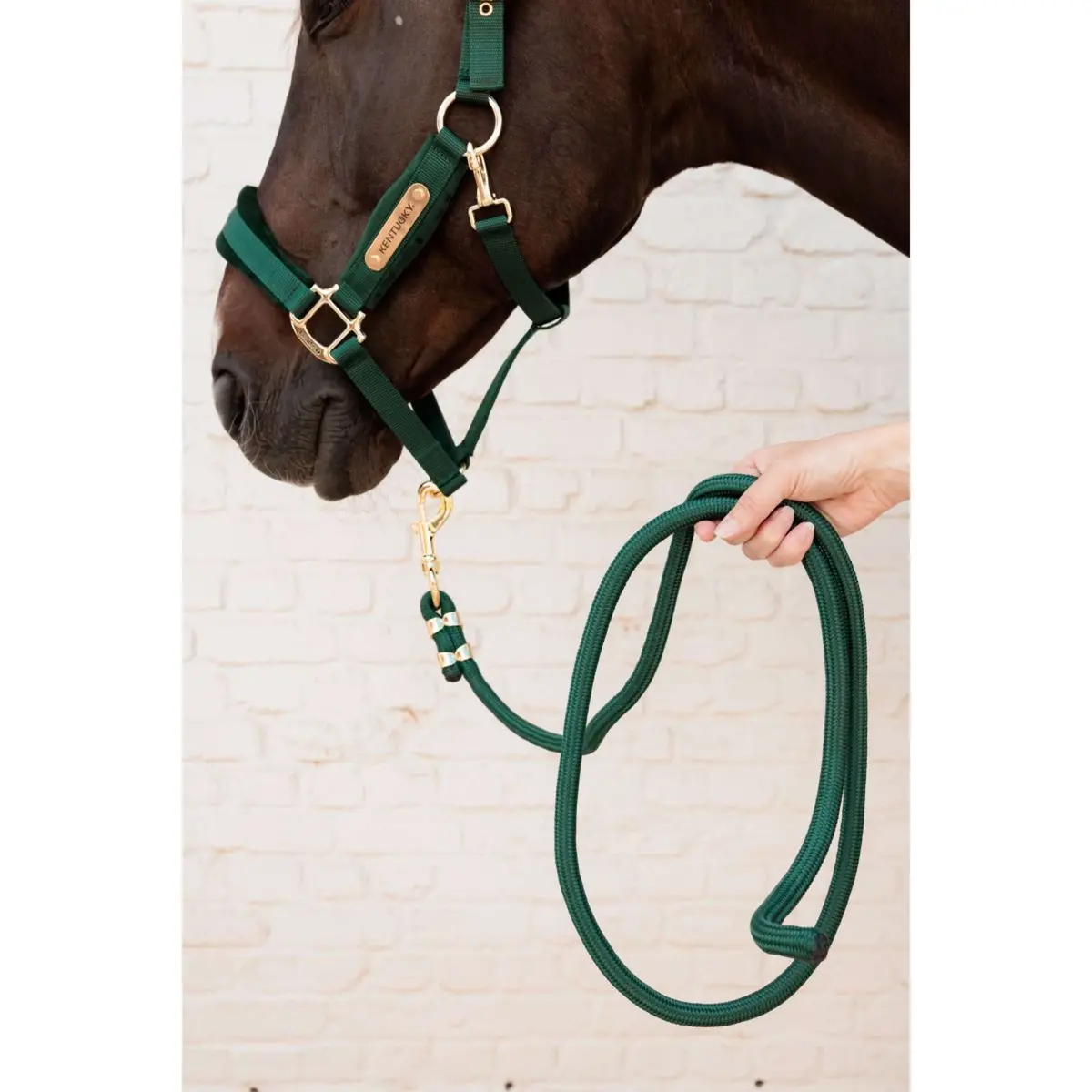 Kentucky Halstertouw Basic Pine Green 1