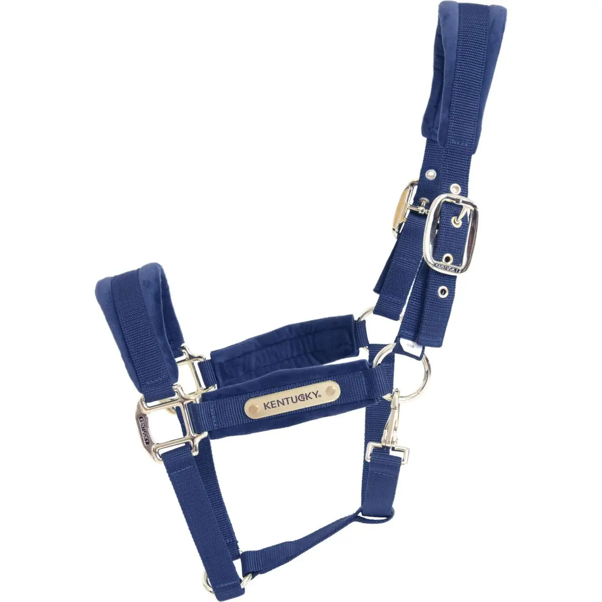 Kentucky Halster Velvet Navy 1