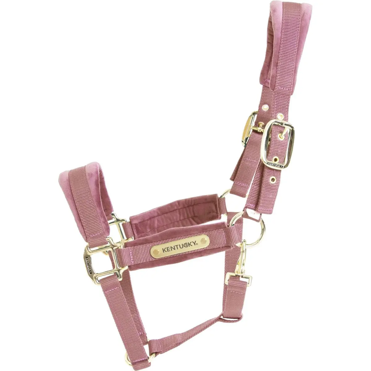 Kentucky Halster Velvet Oud Roze 1