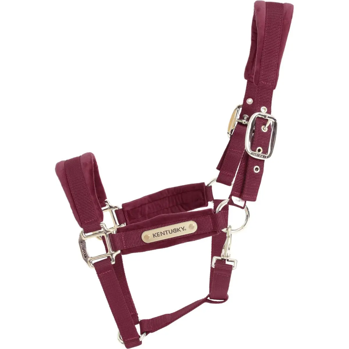 Kentucky Halster Velvet Bordeaux 1