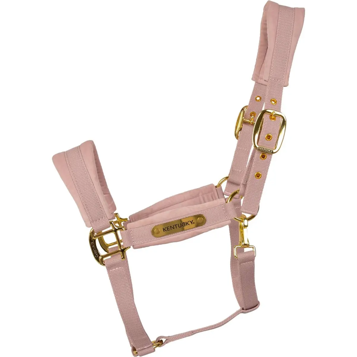 Kentucky Halster Velvet Soft Rose 1