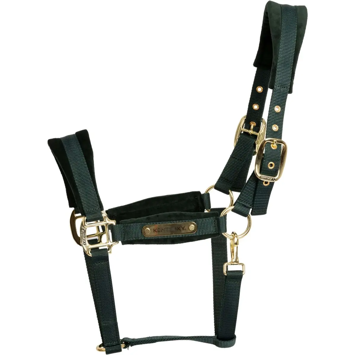 Kentucky Halster Velvet Pine Green 1
